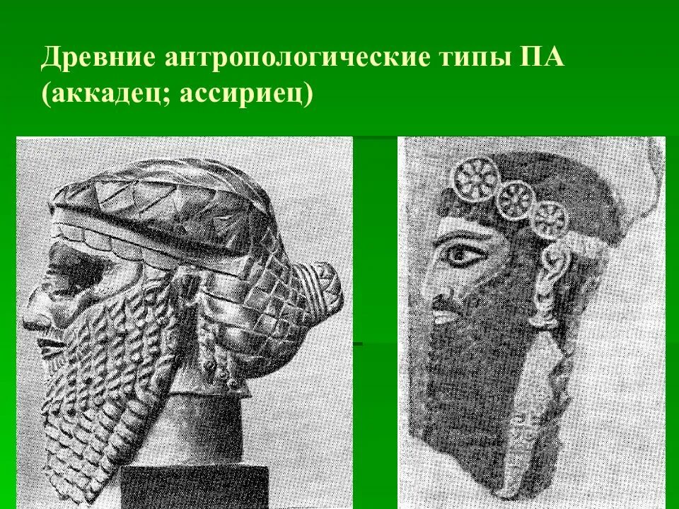 Аккадцы это. Антропологические типы Азии. Античность Ассирийцы бороды. Народы передней азии