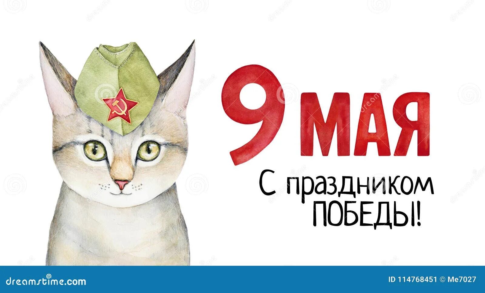 С днем победы кошки. 9 мая котики. 9 мая день победы котики. коты 9 мая с днём победы.