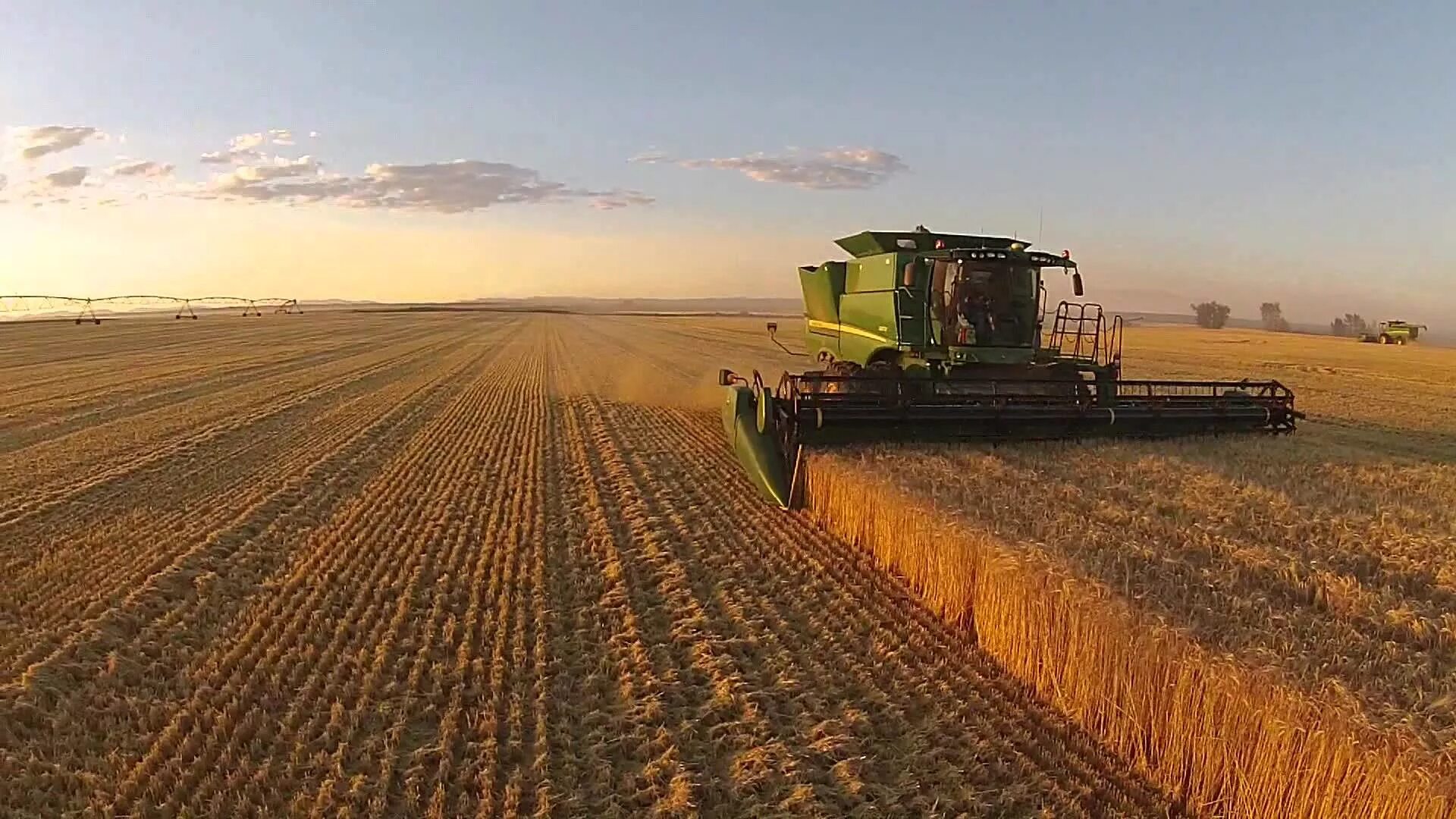 Сбор урожая. Сельское хозяйство урожай. Сбор пшеницы. Комбайн в поле. Field processing