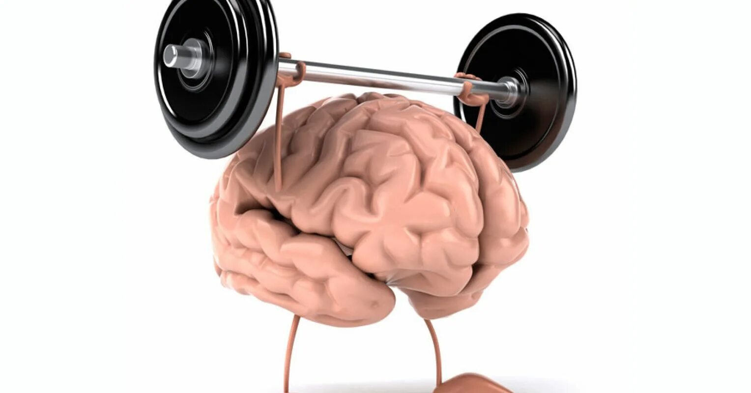Повторить мозг. Гимнастика мозга. Упражнения для мозгов. Физические упражнения для мозга. Нейробика упражнения для мозга.