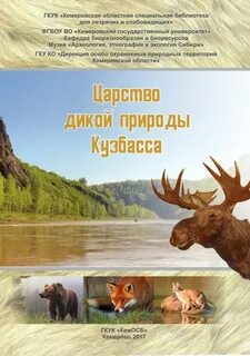 Кемеровский книга