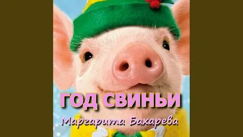 Когда был год свиньи последний раз