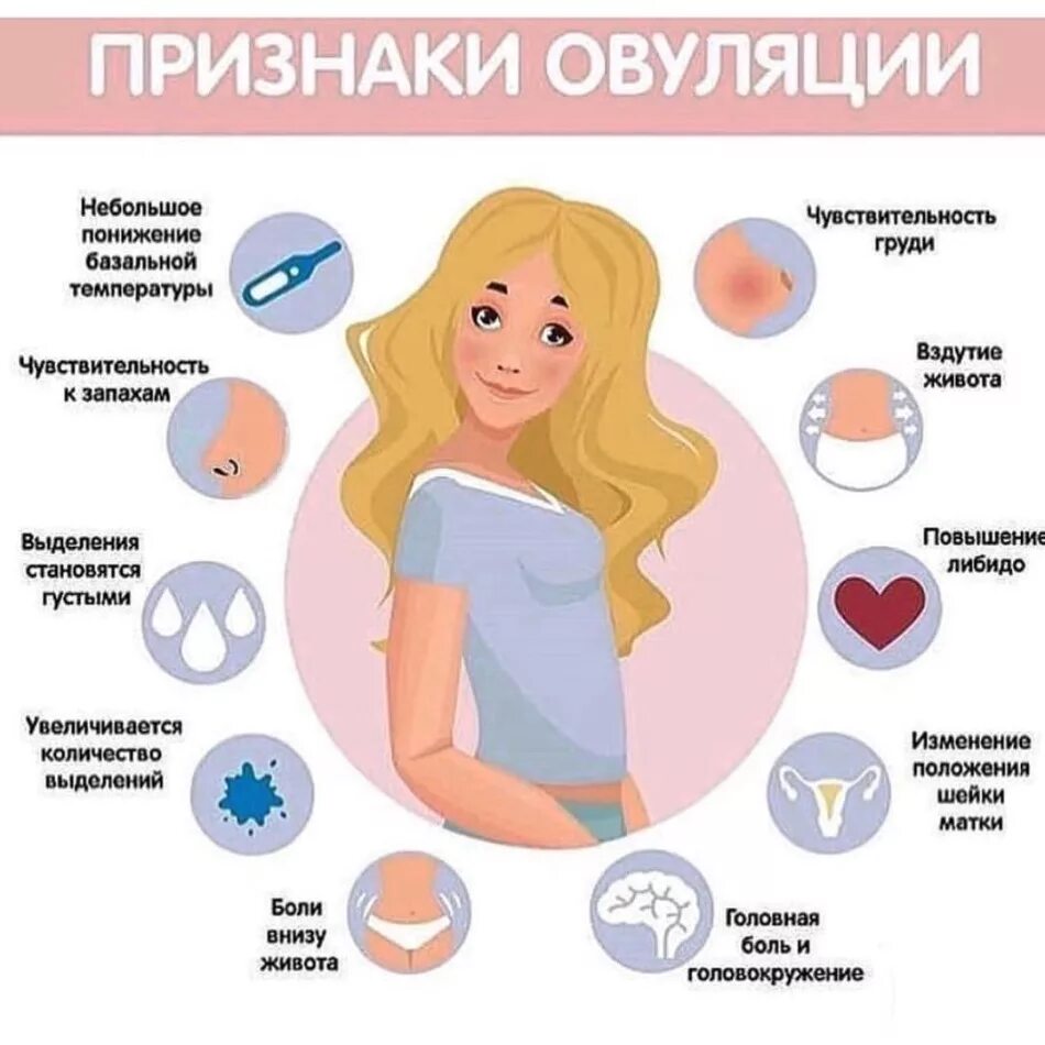 Почему долго идут месячные. 1 Симптомы беременности. Симптомы при беременности на ранних сроках до задержки месячных. Симптомы беременности в первые дни задержки месячных 1 день. Признаки овуляции.