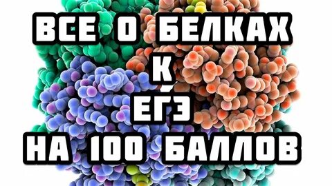 Белки тест егэ биология