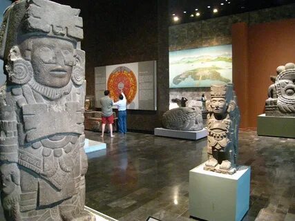 Museum anthropology