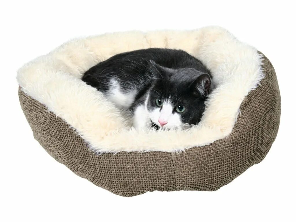 Венсувет для кошек. Когтеточка и домик трикси. Кот на трубе. Homecat 80 см х 25 см игровой туннель для кошек лягушка. Иглы к винсувет.