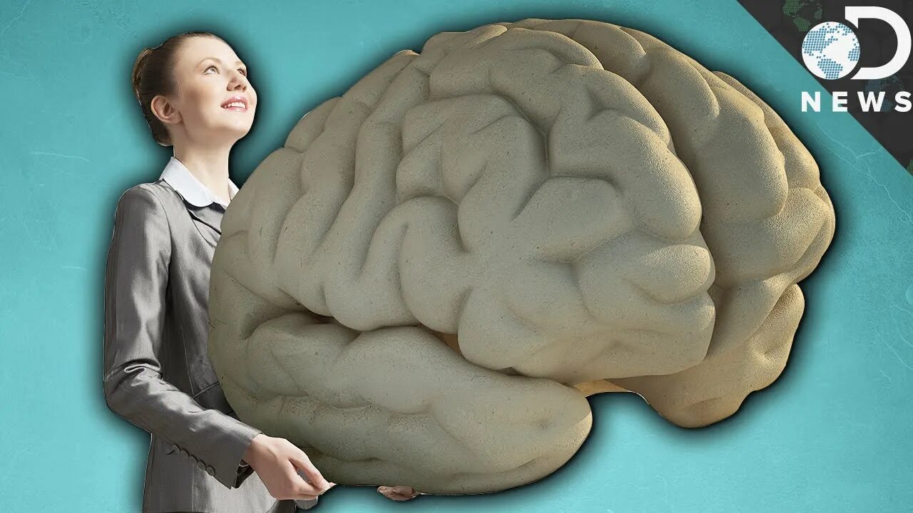 Large brain. Самый большой человеческий мозг.