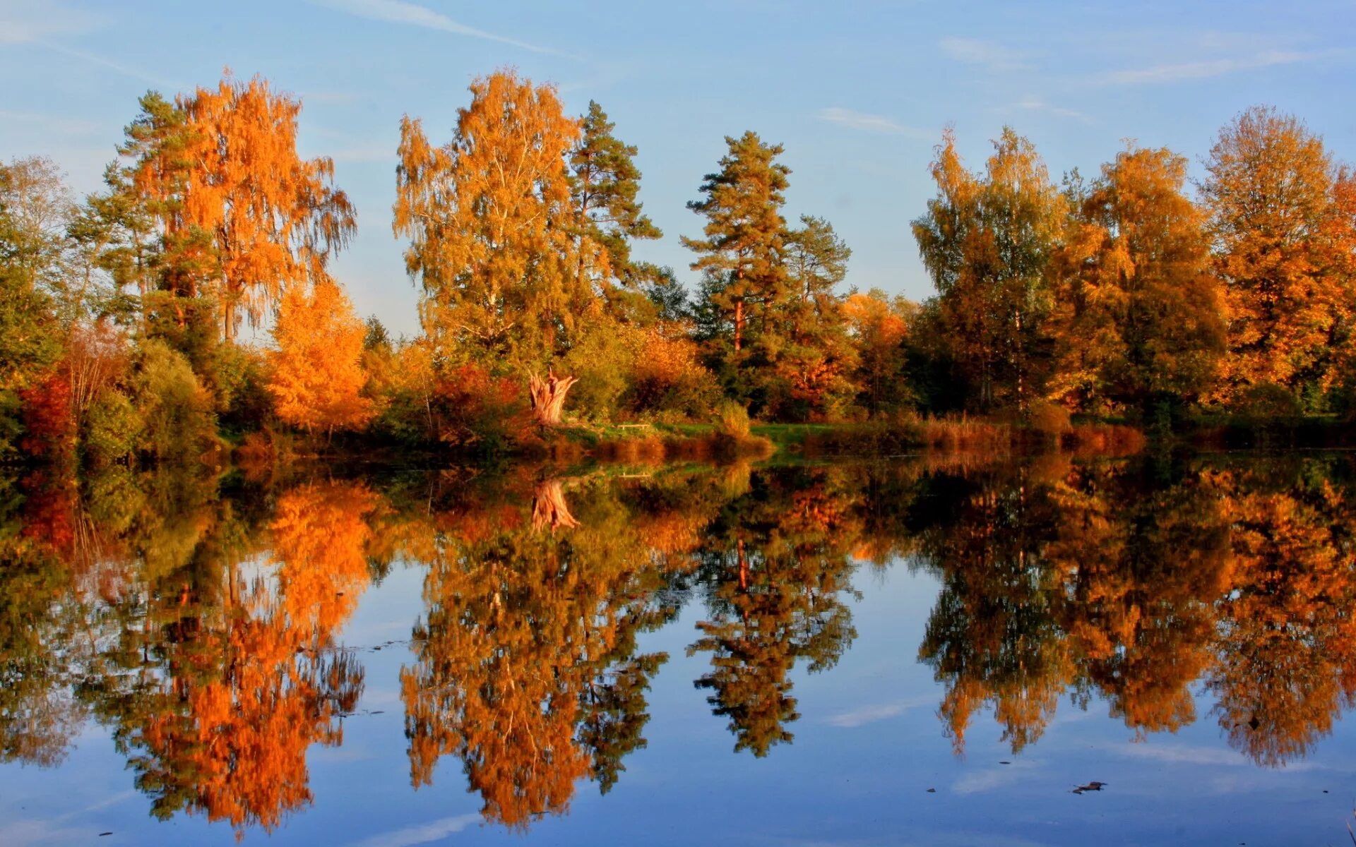 Золотая осень озеро природа река лес. Природа осенью. Красивая осень. Осенний лес с отражением в воде.