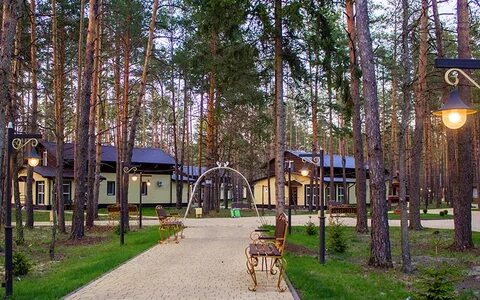 Загородная резиденция бор брянск