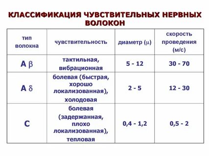 Основные типы нервных волокон