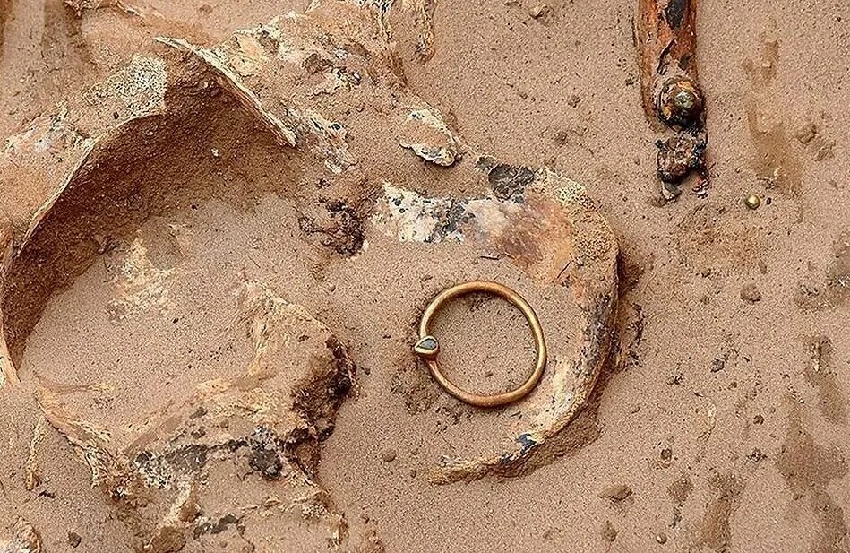 Архиалагические скилети. Обнаружены. Сарматский клад в астрахани. Танаис раскопки. Танаис находки.