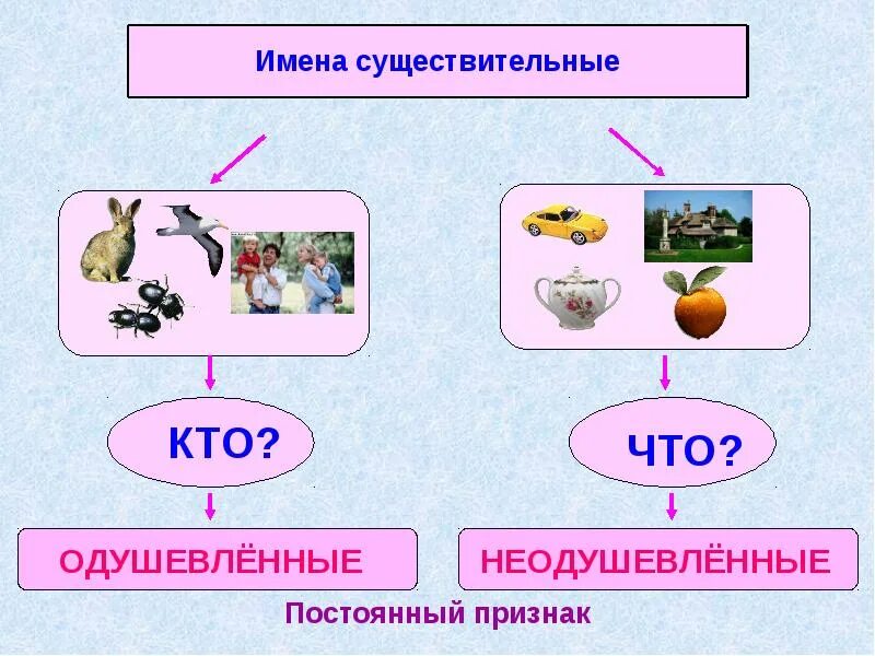 Существительное 5 класс фгос. Имя существительное. имя существительное 5. имя существительное 5 класс. существительное 5 класс презентация.