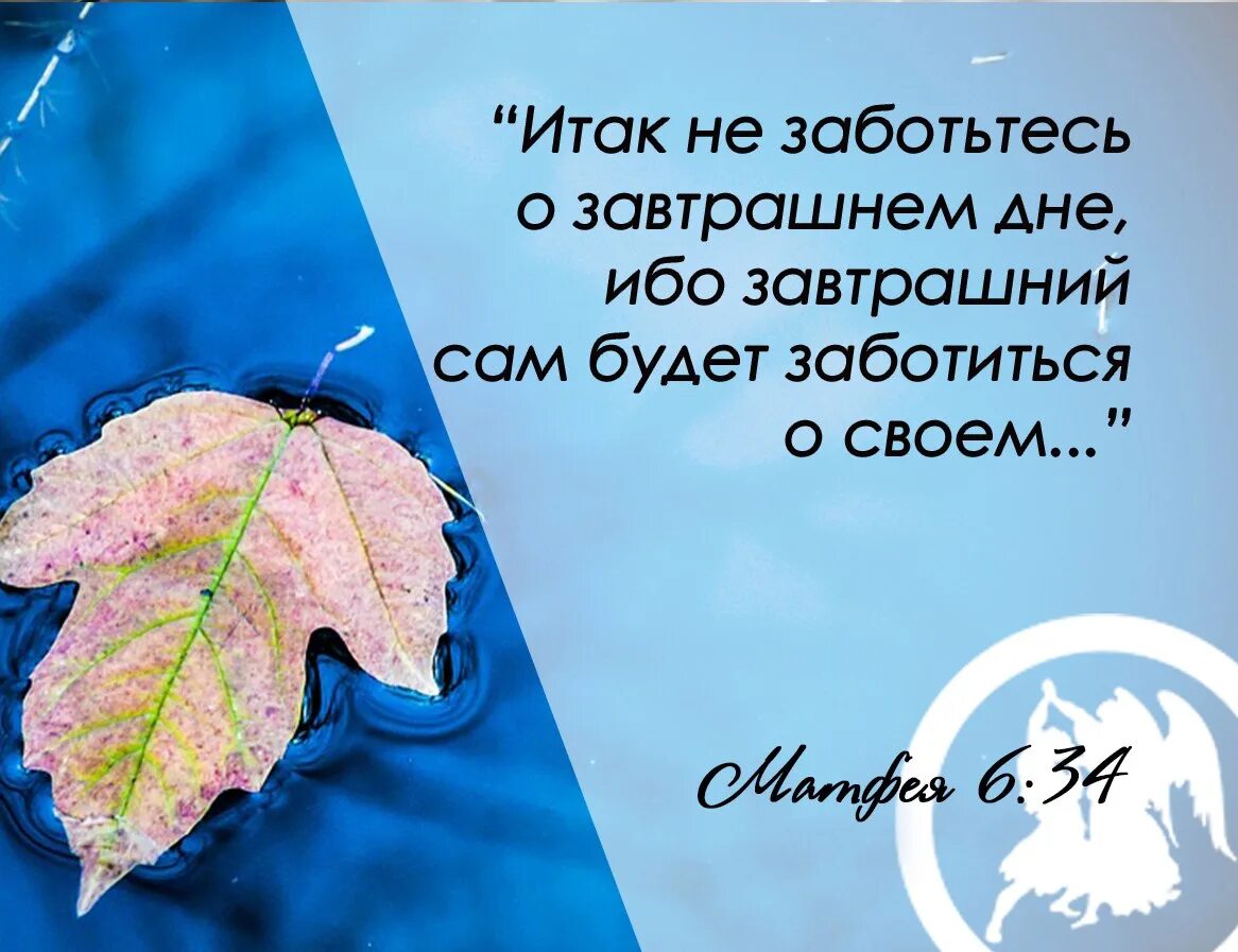 Не заботьтесь о завтрашнем дне. Не заботьтесь о завтрашнем дне ибо завтрашний сам. Итак не заботьтесь о завтрашнем дне Евангелие. Не заботьтесь о завтрашнем дне Библия. Не заботься о завтрашнем