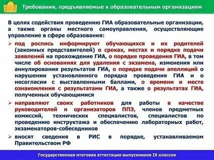 Цоко спт