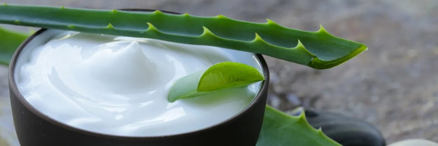 Aloe vera как пользоваться. Экстракт алоэ в косметике. Сок алоэ Эстетика. Алоэ и человек.