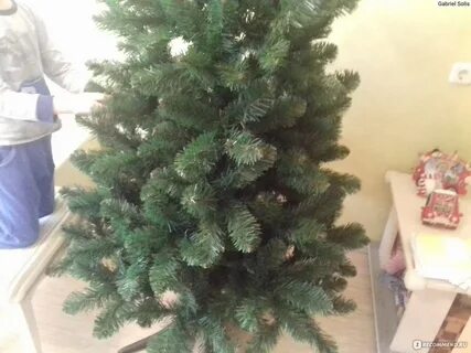 Ели люкс
