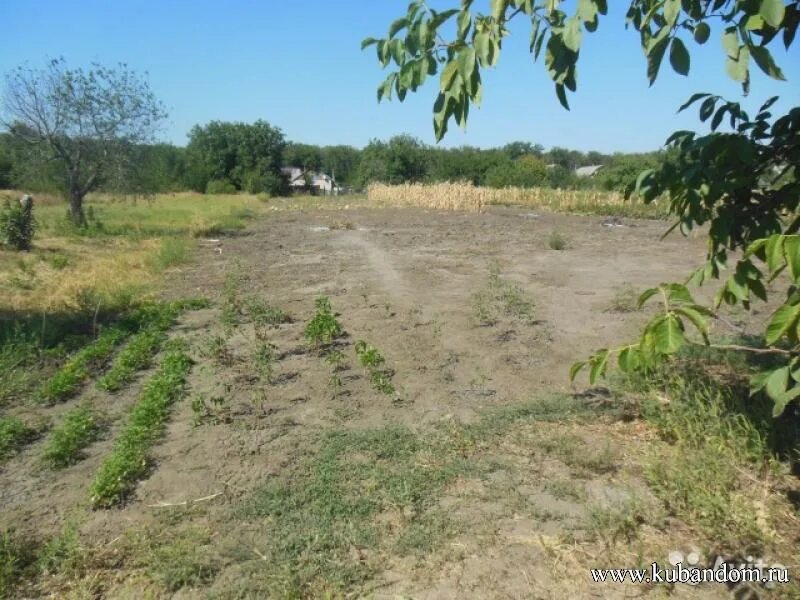 Погода в белой глине краснодарского края сегодня. Погода в белой глине краснодарского края сегодня. Погода в белой глине краснодарского края сегодня. Погода в белой глине краснодарского края сегодня. Погода в белой глине краснодарского края сегодня.