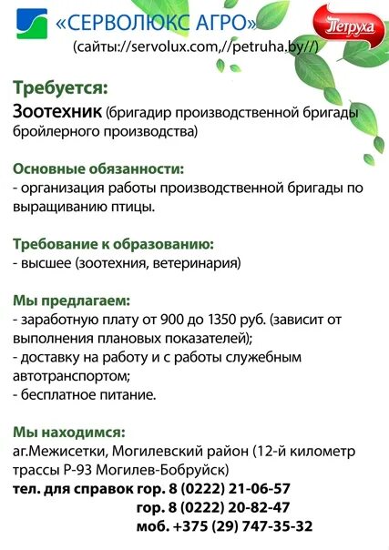 Работа могилев свежие вакансии для мужчин водителем. Вакансии Могилев. Грин вакансии Могилев. Объявления на работу в Могилеве. Подработка в Могилеве ул кабзоревского.