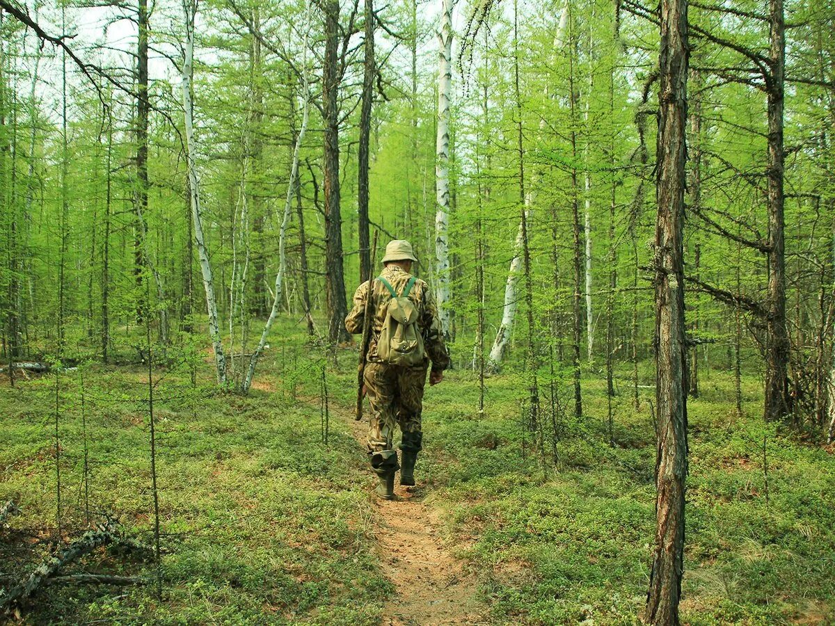 Пребывая в лесу. Егерь Лесник. Лесник и лесничий. Лесник в лесу.