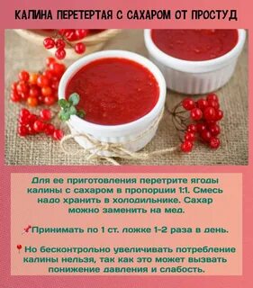 Как правильно принимать калину от давления