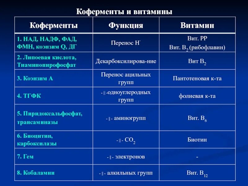 Какую функцию ферменты