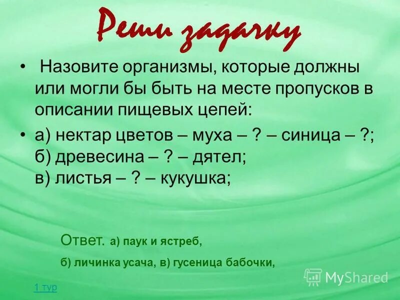 Нектар цветов муха синица цепь