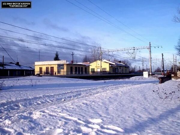 Решетниково (московская область). Поселок решетниково. Решетниково ленинградская область. Решетниково зеленогорск. Поселок решетниково.