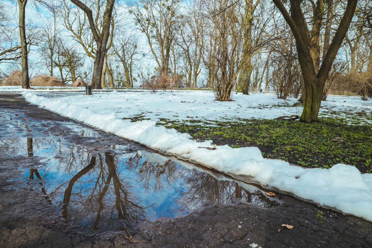 Аллергия на таяние снега. Весеннее таяние снега. Лужи весной.