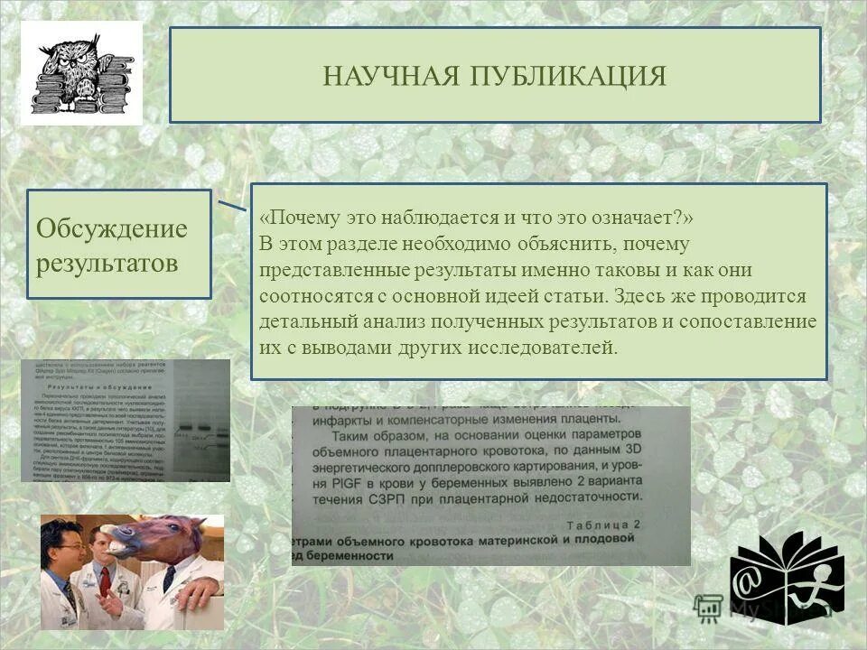 понятие электронной публикации. виды публикаций. проект на тему литературные премии. типы художественной литературы. виды компьютерных публикаций.