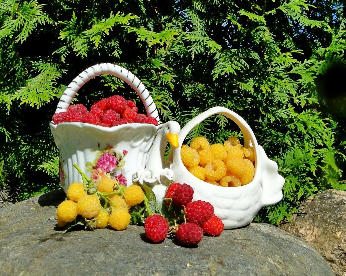 Лето время фруктов. Летние фрукты. Летние дары природы. Корзина с фруктами на природе. Лето в корзинке.