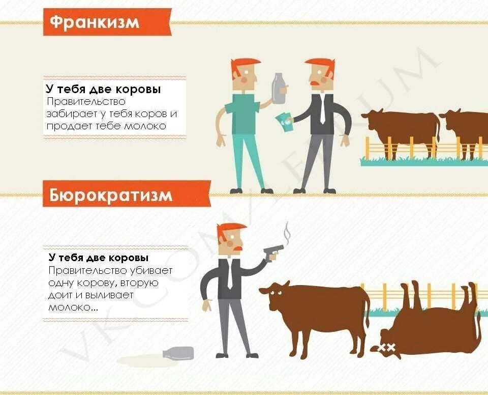 Откуда взялись коровы. Молочность коров. Содержание стельных овец и коз. Исследовательский работа проект на тему коровы. Откуда взялись коровы.