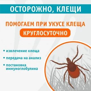 Укусил клещ анализ
