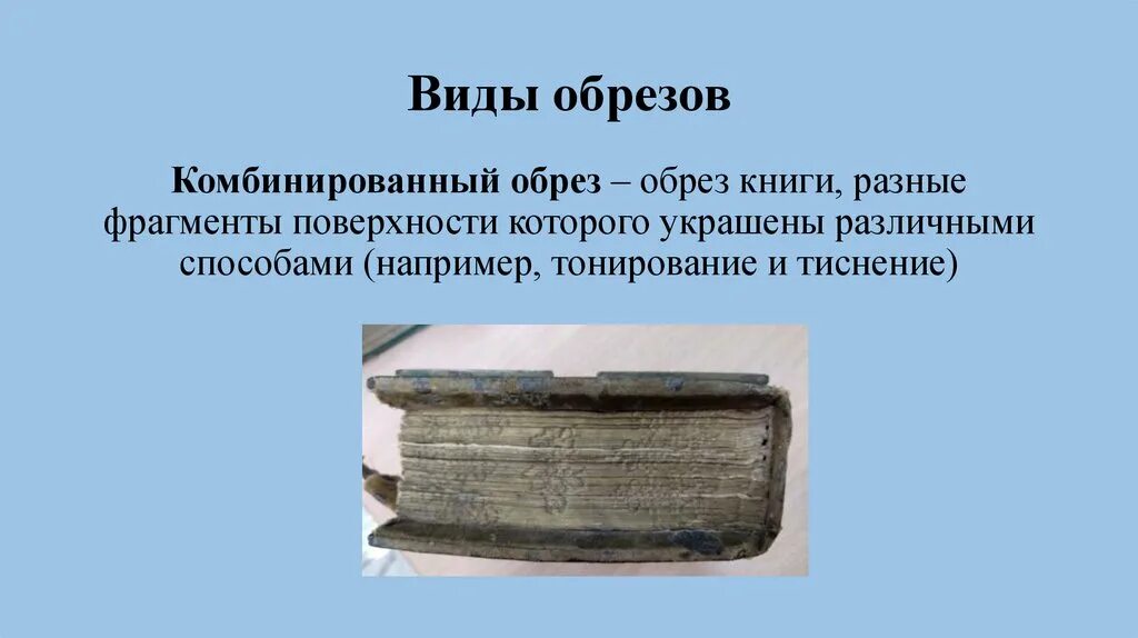 Виды обрезов. Обрез b95. Тоз 34 кулацкий обрез. Виды обрезов. Двуствольный обрез 12 калибра.