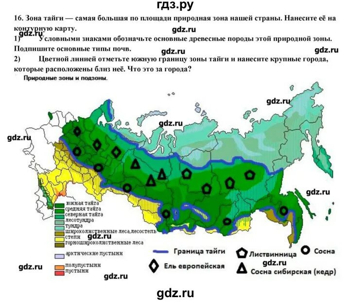 Где находится лес на карте