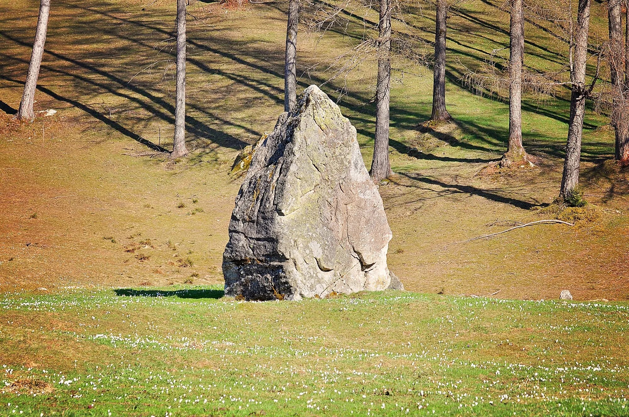 Stone huge. Валун в поле. Камень в поле. Огромные каменные деревья. Огромный камень в поле.