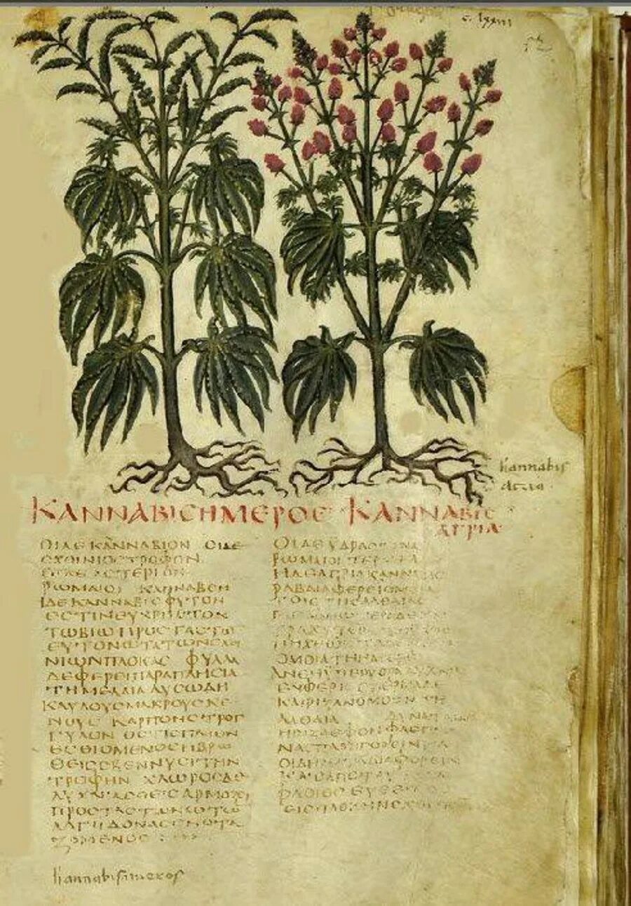 Естественная история растений