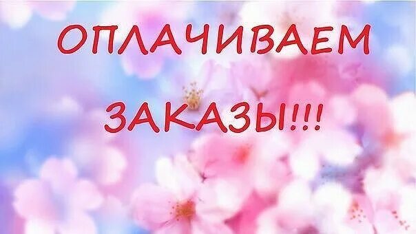 Началась оплата. Идёт оплата заказа. Идёт оплата заказа. Началась оплата. Оплата заказа.