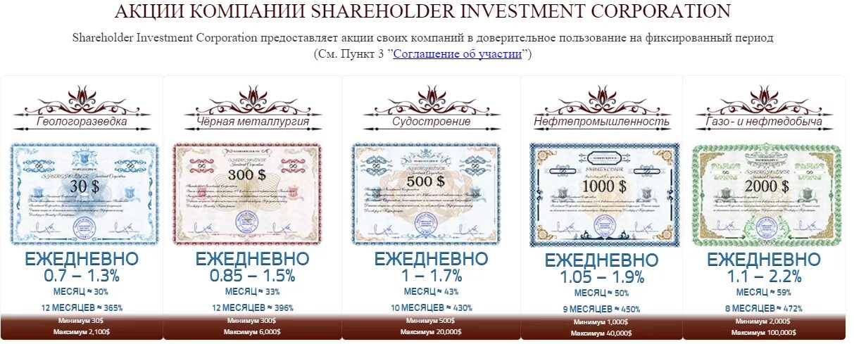 Shareholder company