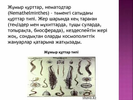 Қыз жыныстық қатынасқа түскісі келеді mp3