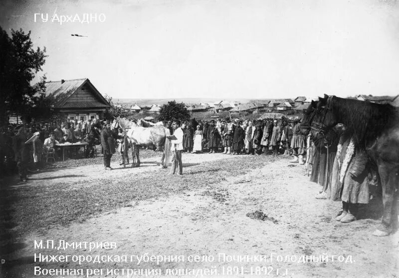 Крестьяне Нижегородской губернии Дмитриев. Неурожайный 1891—1892 год в Нижегородской губернии. Россия голод 1892