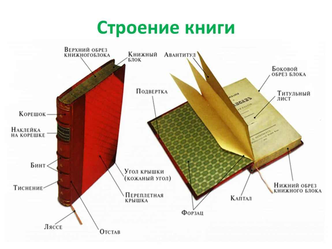 Из чего состоит книга структура книги. Как правильно называются части книги. Книга переплет вид сбоку. Структура книги схема.