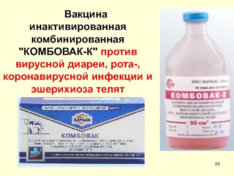 Вакцины для коров. Вакцина комбовак-к 30 доз 90мл. Вакцина инактивированная- комбовак-к (30 доз). Вакцина комбовак для телят. Вакцинация вирусная диарея крупного рогатого скота.