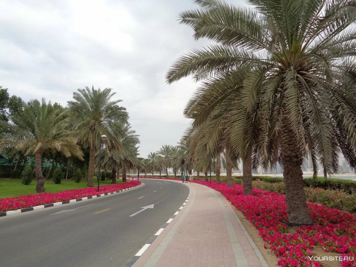 Парк аль мамзар. Пляж и парк Аль-Мамзар. Мамзар парк Дубай. Аль Мамзар Шарджа. Пляж Аль Мамзар в Дубае.