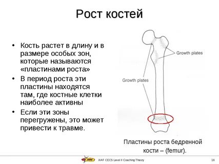 Рост костей таблица