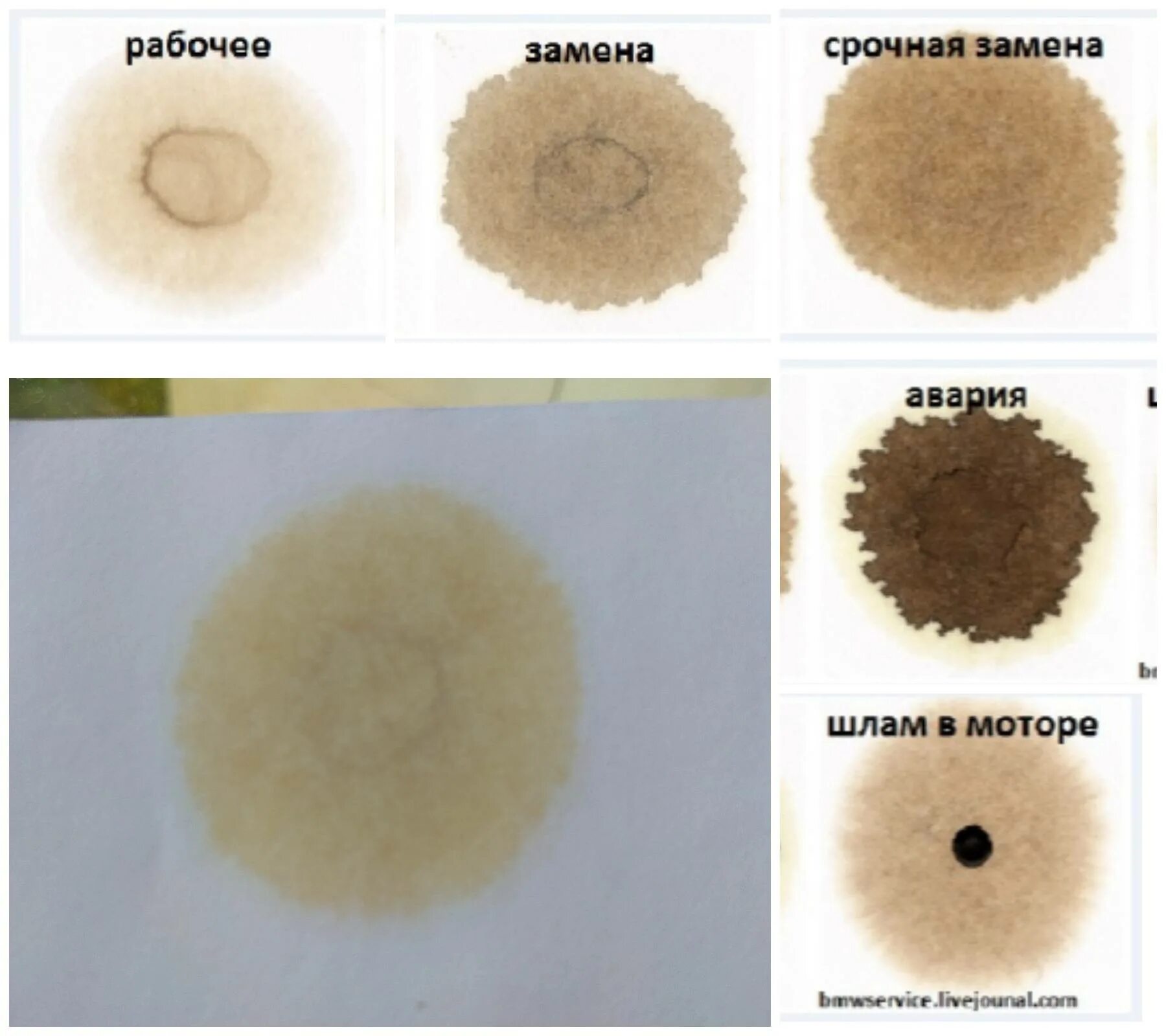Тест масла на бумаге. Метод капельной пробы моторного масла. Капельная проба моторного масла бензин. Капельный тест моторного масла. Капельная проба дизельного моторного масла.