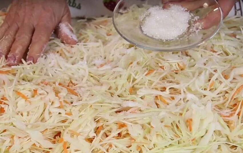 Квашеная капуста рецепт без быстрого приготовления. Квашеная капуста на столе. квашеная капуста без моркови. квашеная капуста в собственном соку. этапы квашения капусты.