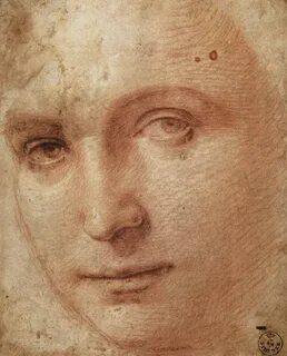 Raphael js