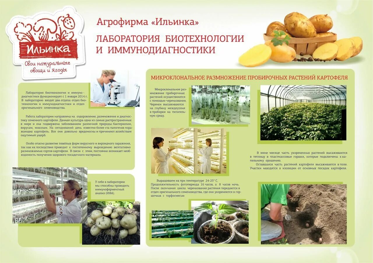 Акции агрофирм