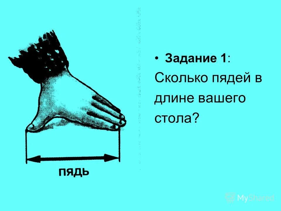 Какие плоды длиною в пядь. Пядь мера длины. Пядь земли это сколько. Пядь и вершок. Пядь это сколько в см.