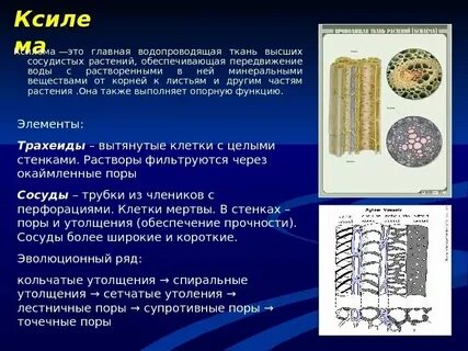 Какая ткань транспортная